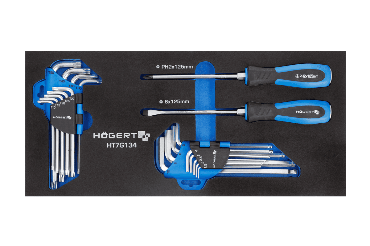 Zestaw wkrętaków, kluczy HEX i TORX 20 szt., wkład EVA
